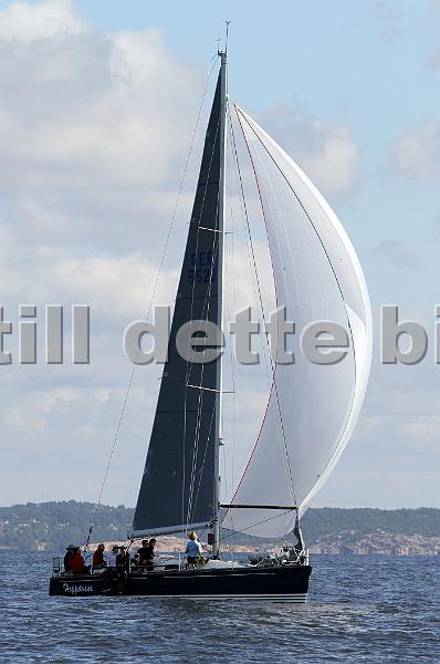 ORCi2 471.jpg